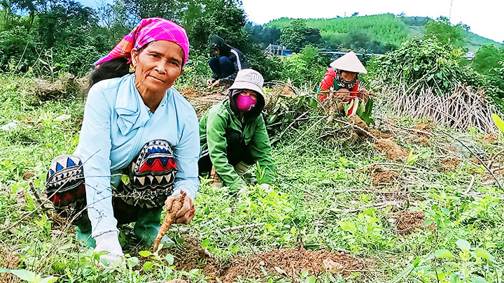 Bà Hà Thị Học chia sẻ: Tập lao động cho học sinh để chúng biết quý trọng của cải vật chất.