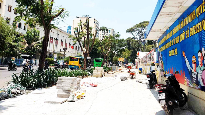 Vỉa hè các tuyến đường được cải tạo nhưng hàng nghìn cây xanh đô thị bị xâm hại.