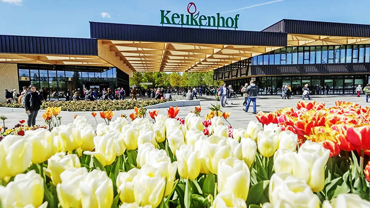 Mùa tham quan tại vườn Keukenhof