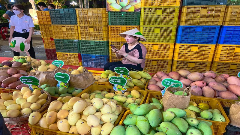 Xoài là một trong những mặt hàng trái cây của Việt Nam được xuất khẩu sang nhiều thị trường trên thế giới. 