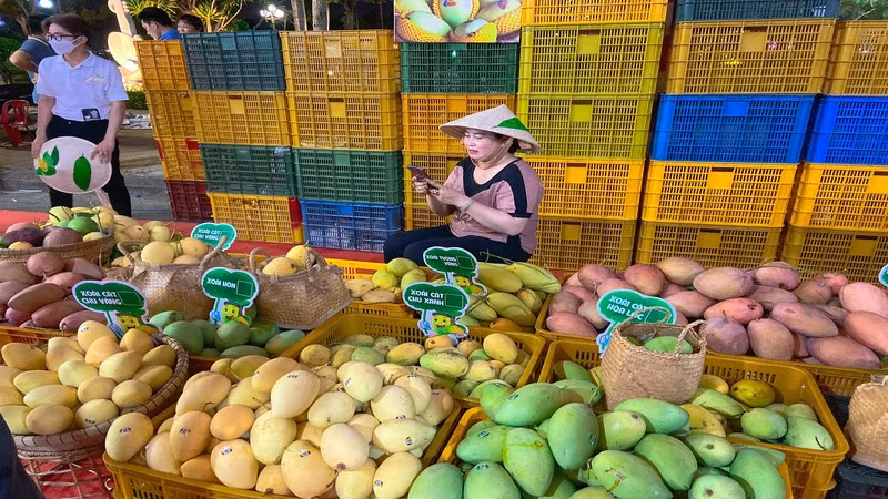 Xoài là một trong những mặt hàng trái cây của Việt Nam được xuất khẩu sang nhiều thị trường trên thế giới. 