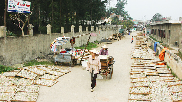 Phơi cá trên đường thôn tại Hải Bình, Nghi Sơn, Thanh Hóa.
