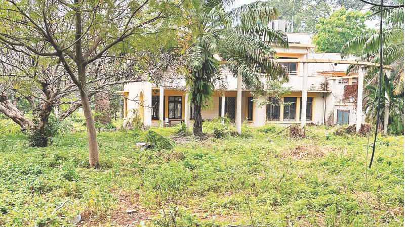 Khu nhà khách Chính phủ ở số 1 Lý Thái Tổ, Quận 10 gần như bị bỏ trống từ nhiều năm qua.