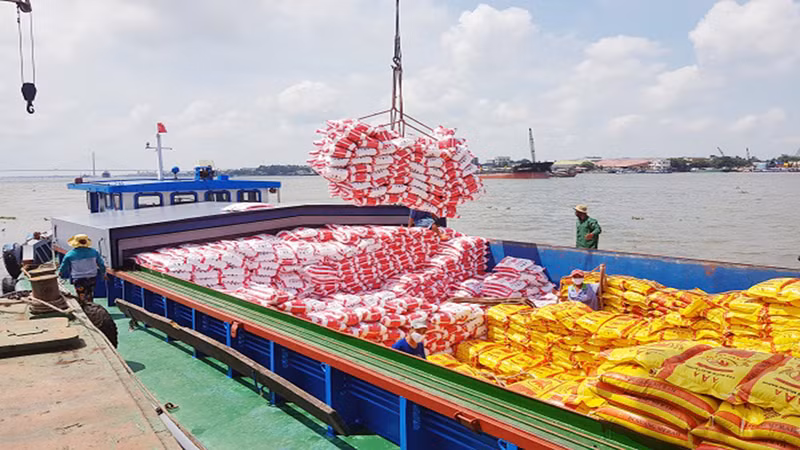 Năm 2024, Việt Nam vẫn còn nhiều cơ hội tăng trưởng xuất khẩu gạo.