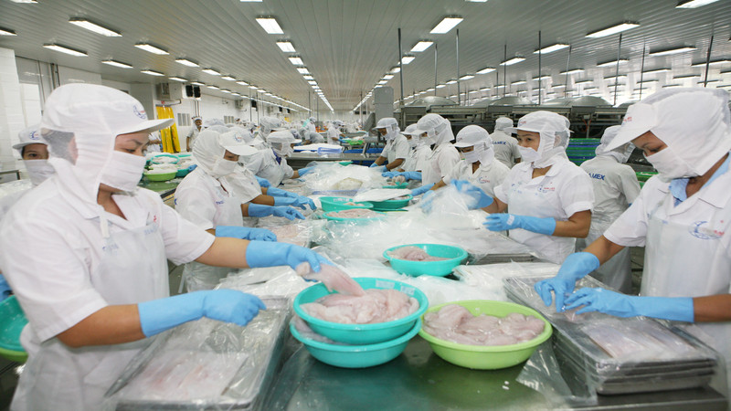 Mỹ hiện là nhà nhập khẩu cá tra hàng đầu của Việt Nam. 