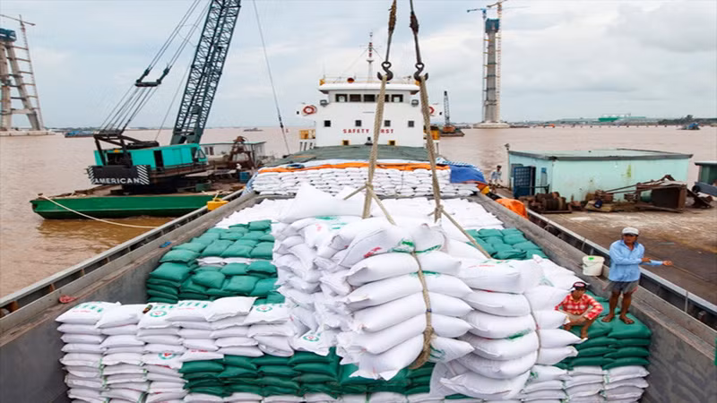 Việt Nam có nhiều cơ hội xuất khẩu gạo trong năm 2024.