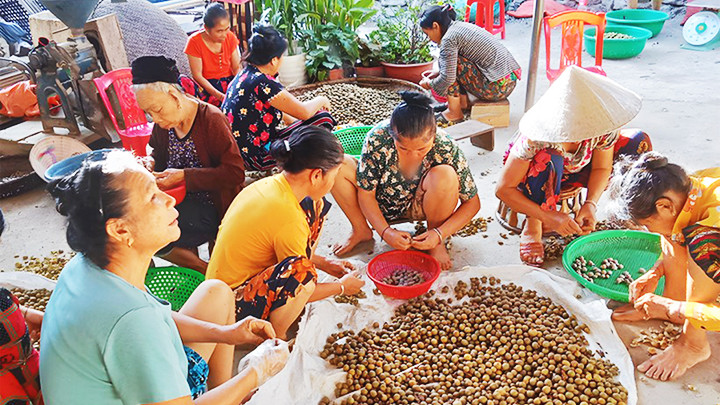 Bà con xã Tam Hợp, huyện Tương Dương bóc vỏ quả bo bo. Ảnh: HOÀI THU