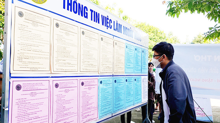 Người lao động tìm hiểu thông tin đi làm việc tại nước ngoài.