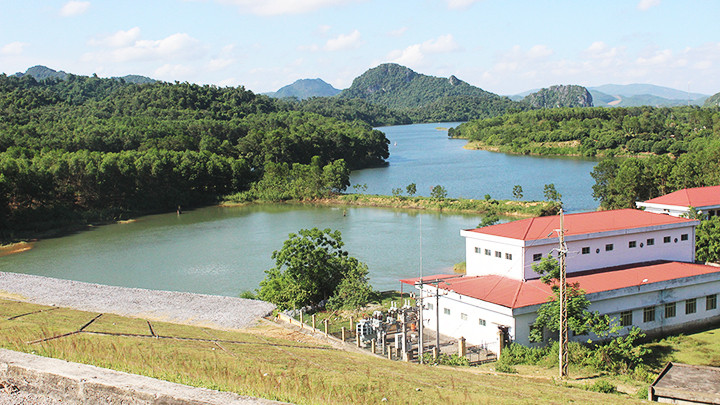 Rừng quốc gia Bến En đa phần là... keo.