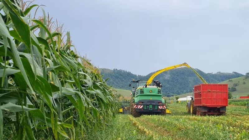 Trang trại nông nghiệp hữu cơ của Công ty Vinamilk tại tỉnh Xiengkhouang, Lào. (Ảnh: Hải Tiến)