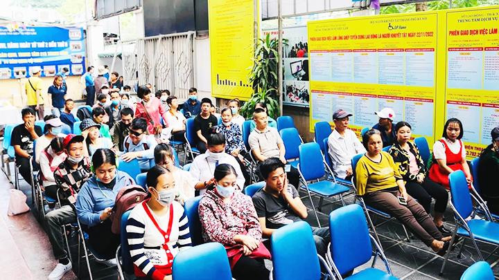 Người lao động tìm cơ hội làm việc mới tại các phiên giao dịch. Ảnh: MAI QUÝ