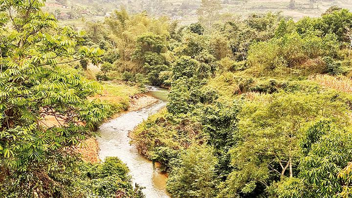 Sông Nguyên Bình đoạn chảy qua thôn Tà Sa, xã Minh Tâm, nơi có nhà máy thủy điện đầu tiên của Việt Nam.