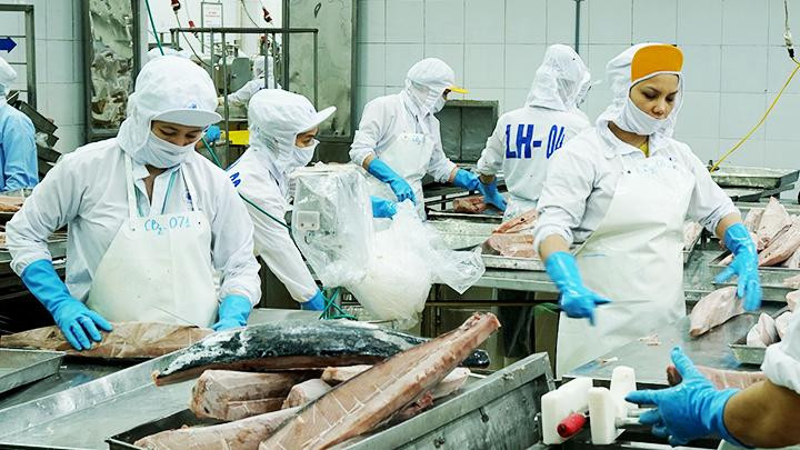 Thủy sản lần đầu tiên xuất khẩu đạt kim ngạch 10 tỷ USD. Ảnh: HẢI NAM