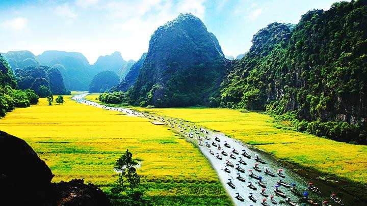 Sông Ngô Đồng mùa lúa chín. Ảnh: PHAN ÁI