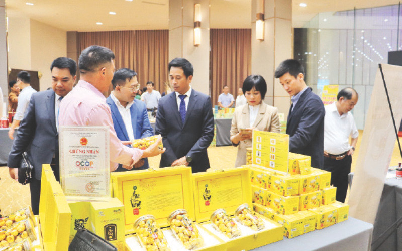 Doanh nghiệp giới thiệu, quảng bá sản phẩm, tìm kiếm cơ hội hợp tác tại Hội nghị “Kết nối cùng phát triển - Link to Grow” tổ chức tại tỉnh Quảng Ninh tháng 8/2023.