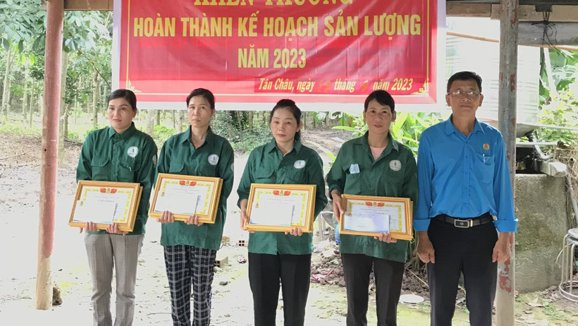 Trao thưởng cho công nhân hoàn thành kế hoạch sản lượng khai thác mủ cao-su năm 2023 trước thời hạn tại Đội 1 Nông trường Cao-su Tân Hiệp.