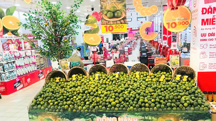 Cam sành được một số siêu thị bày bán hỗ trợ các nhà vườn.