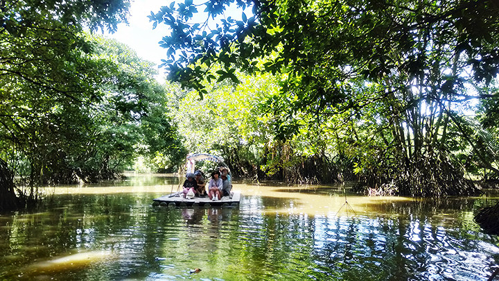 Du khách tham quan vườn chim Lập Điền.