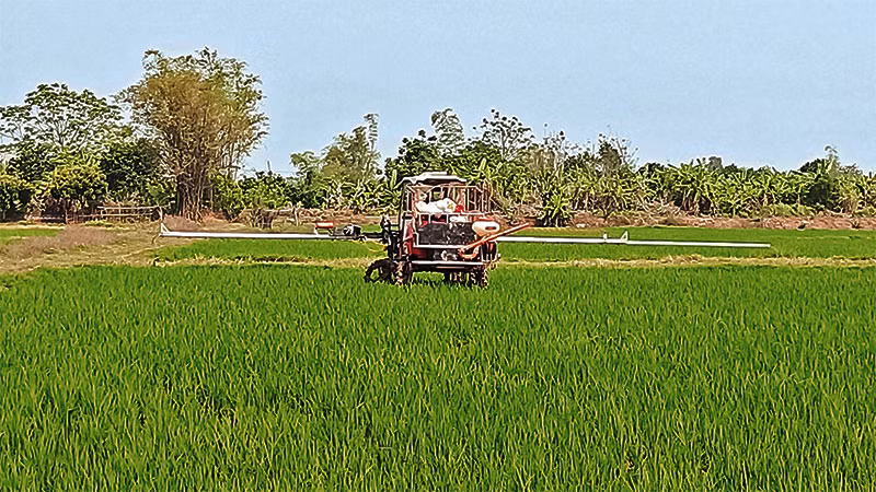 Người dân xã An Ninh (huyện Quỳnh Phụ, tỉnh Thái Bình) bón phân bằng máy tại cánh đồng sản xuất theo quy mô lớn.