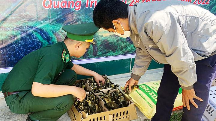 Đồn Biên phòng Ba Nang hỗ trợ con giống tạo sinh kế cho bản A Xóc, huyện Sa Muồi, tỉnh Salavan (Lào).