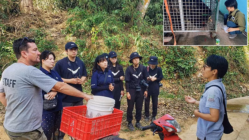 Tạ Thị Thương (bên phải) trao đổi với khách quốc tế đến thăm Trung tâm bảo tồn gấu Cát Tiên và chăm sóc một cá thể gấu vừa được giải cứu (ảnh nhỏ). (Ảnh FREE THE BEARS)