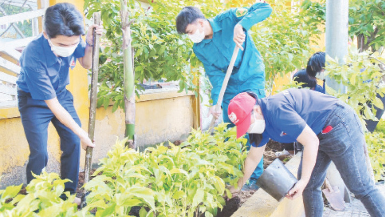 Đoàn viên, thanh niên thành phố Thuận An ra quân ngày Chủ nhật xanh nhằm giúp môi trường xanh-sạch-đẹp. 