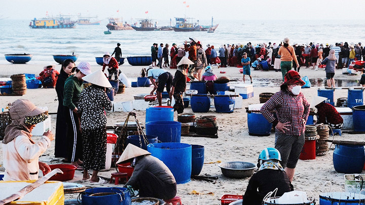 Chợ cá nhộn nhịp cảnh bán mua vào buổi sáng sớm.