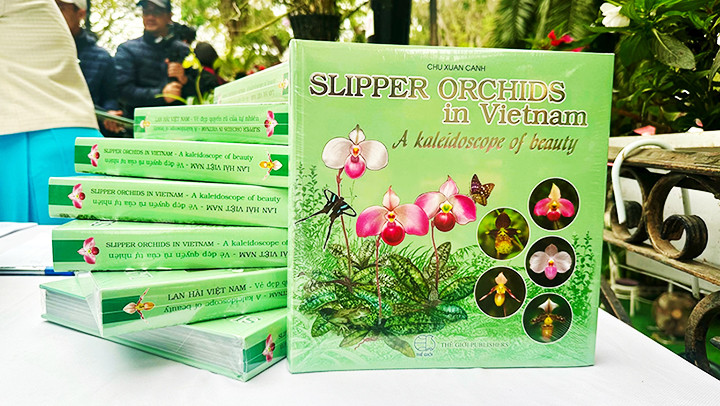 Ra sách về lan hài Việt Nam