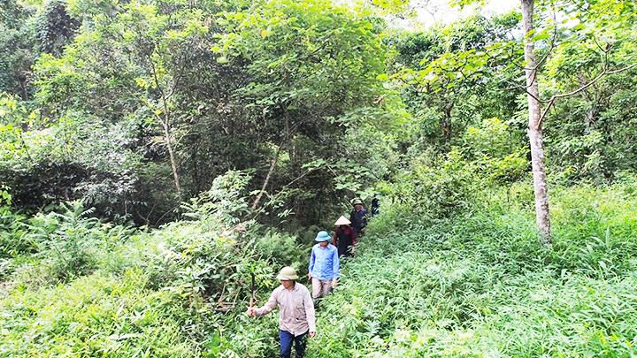 Người dân thôn Cao Ngỗi tổ chức tuần rừng.