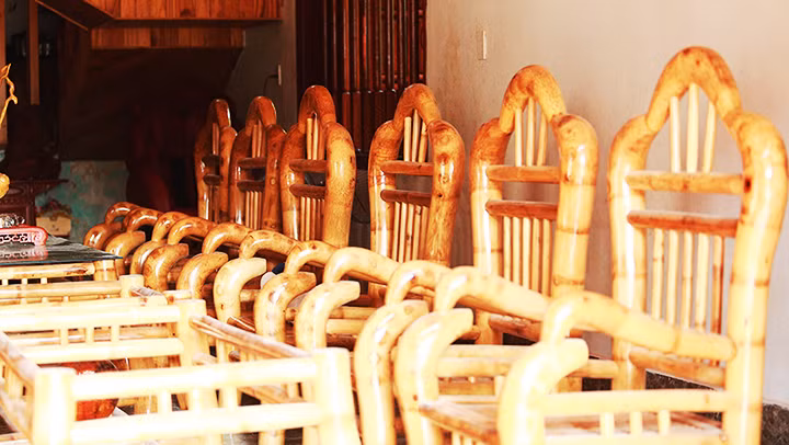 Bàn ghế gốc tre óng ánh sắc vàng.