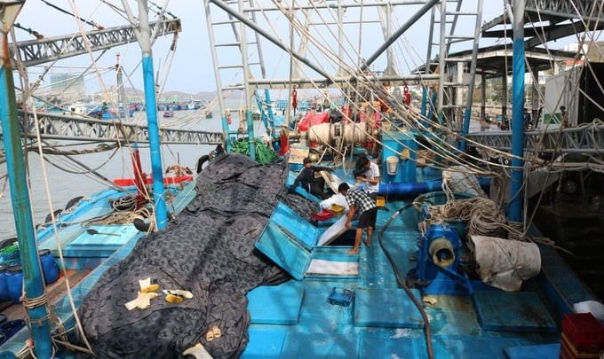 Hiện nay, khâu kiểm soát giữa cảng cá và hoạt động chế biến còn chưa chặt chẽ, việc kiểm soát tàu cá ra vào cảng, quản lý dữ liệu còn nhiều bất cập, chưa rõ ràng. Ảnh: Báo Nông Nghiệp