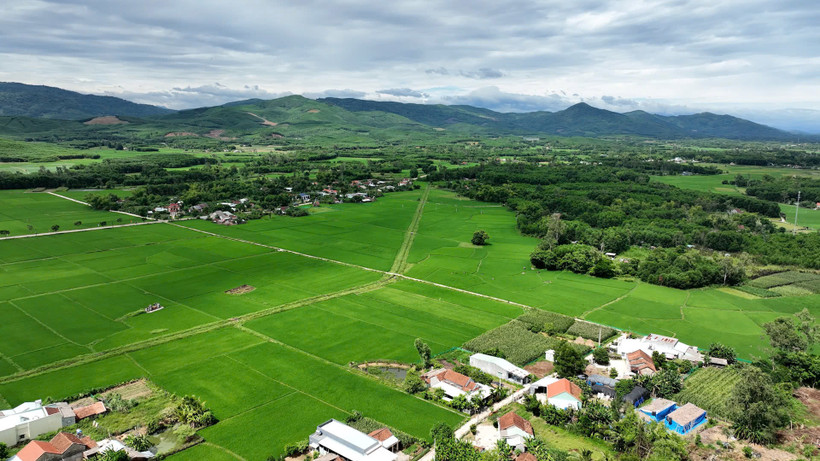 Quảng Nam phát triển ngành nông nghiệp theo hướng bền vững. (Ảnh: LÊ ANH QUÂN)