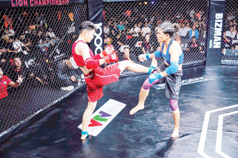 Võ thuật tổng hợp nhận được rất nhiều sự quan tâm tại Việt Nam. Ảnh: VMMALC