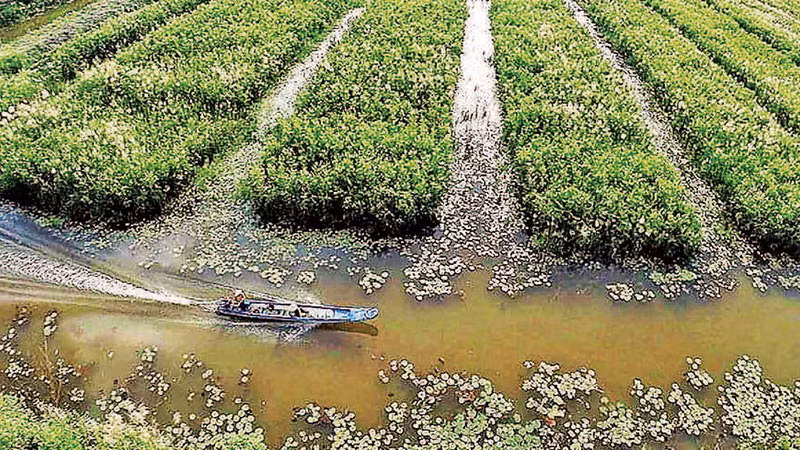 Du khách trải nghiệm đi xuồng máy trong rừng tràm thuộc Khu du lịch sinh thái cộng đồng Vườn Quốc gia U Minh Hạ.