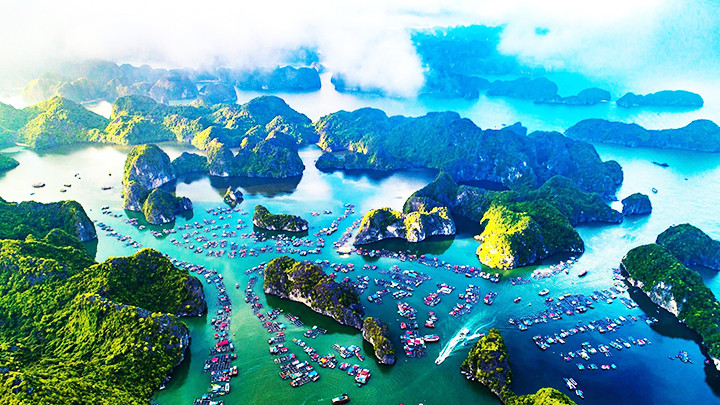 Quần đảo Cát Bà là một trong những khu dự trữ sinh quyển có hệ sinh thái đa dạng. Ảnh: VIETNAM PLUS