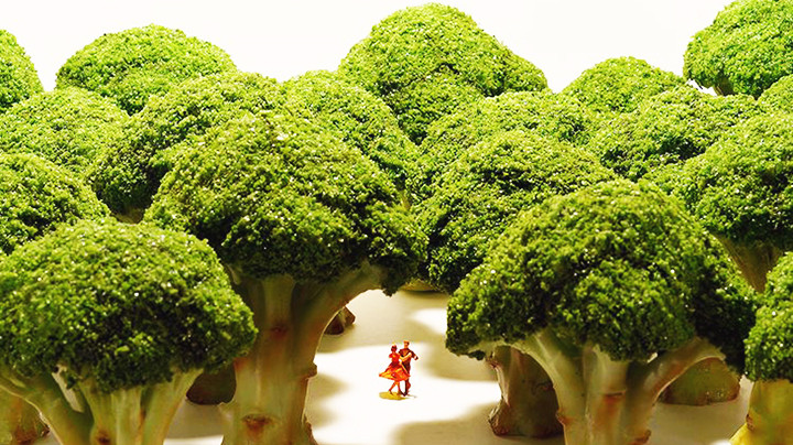 Triển lãm “Nhật Bản thu nhỏ”