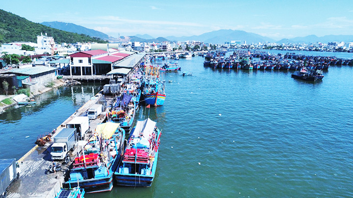 Tàu vào cảng Hòn Rớ bán cá lớn. 