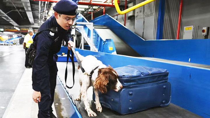 Lực lượng an ninh Singapore kiểm tra ma túy tại sân bay. Ảnh: CNB