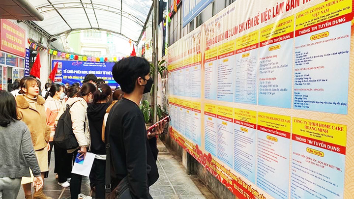 Sinh viên ra trường tìm kiếm việc làm.