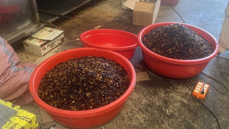 Trộn nho khô có nguồn gốc Ấn Độ để đóng gói thành nho khô có nguồn gốc do Mỹ sản xuất.