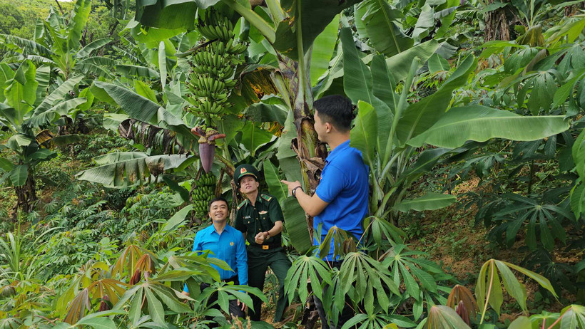 Paling với những đồi chuối xanh ngút ngàn của đồng bào Pa Cô.