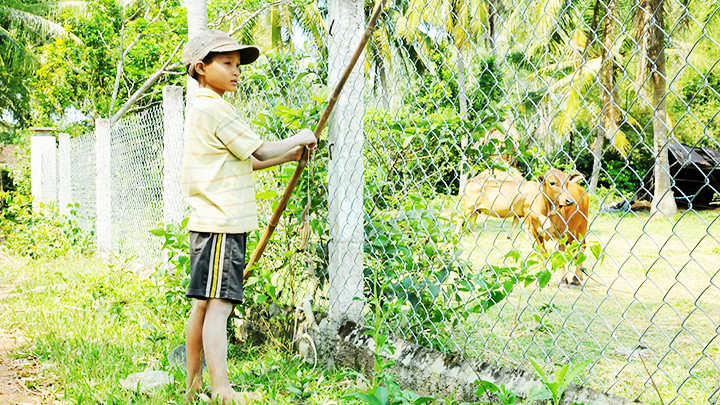 Nhớ thời thơ ấu. Ảnh: NAM HẢI