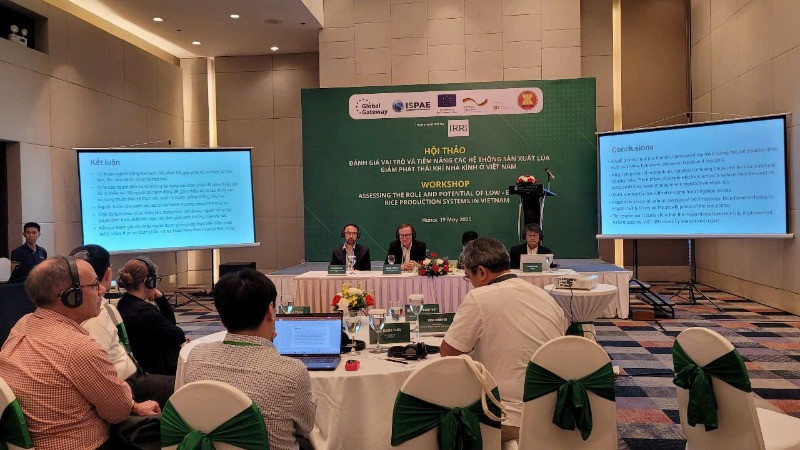 Hội thảo quốc tế “Đánh giá vai trò và tiềm năng các hệ thống sản xuất lúa giảm phát thải khí nhà kính ở Việt Nam”.