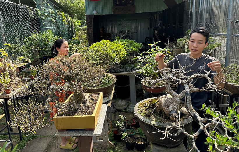 Vợ chồng thầy giáo Võ Tá Bảo và Lê Thị Hiệu chăm sóc cây tại khu vườn mini.