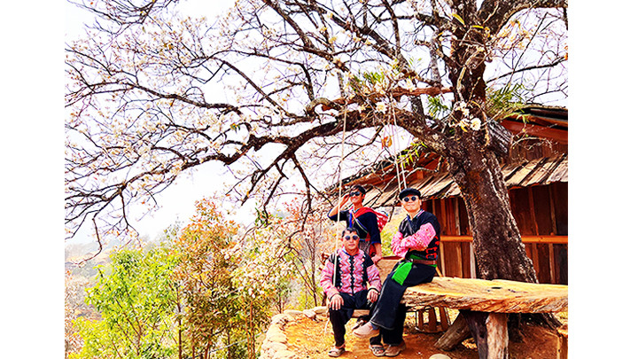 Thăm miền hoa Ngọc Chiến