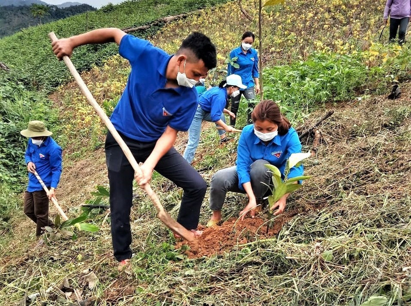 Cần nâng cao hiệu quả của việc trồng rừng mỗi dịp xuân.