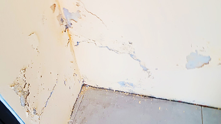 Lớp sơn bề mặt tường một số nơi bị bong tróc.