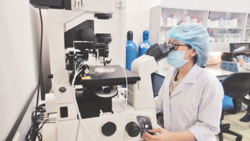Hoạt động nghiên cứu khoa học tại Trường đại học Quốc tế, Đại học Quốc gia Thành phố Hồ Chí Minh.