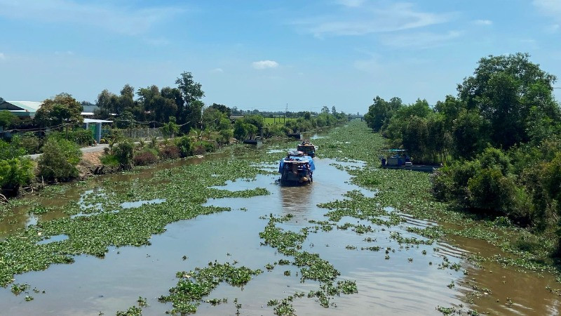 Kênh đào Thủy Trầm ở huyện Thạnh Hóa, tỉnh Long An lấy nước từ hệ thống sông Vàm Cỏ để phục vụ sản xuất nông nghiệp, sinh hoạt và giao thương.