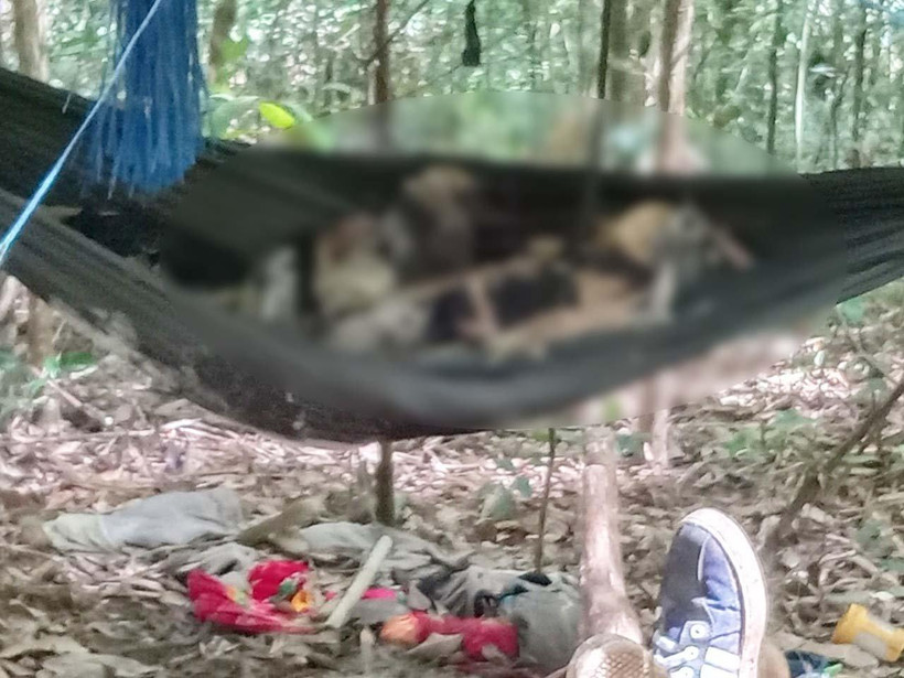 Một trong 2 thi thể chỉ còn xương khô được phát hiện trong rừng. (Ảnh: baogialai.com.vn)